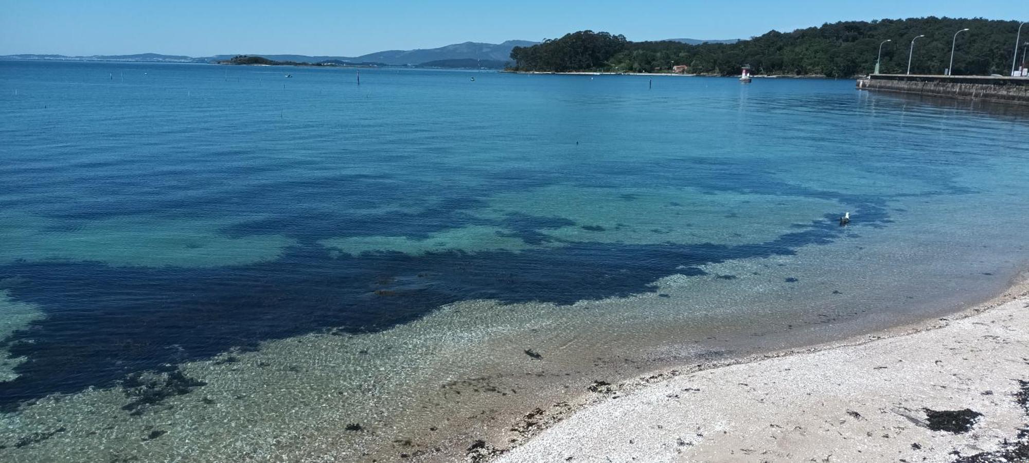 Plaza Loft Apartment Vilagarcia de Arousa Bagian luar foto